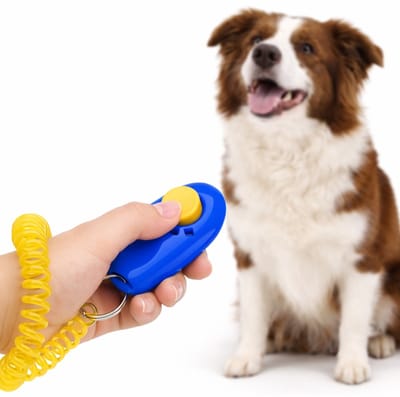 Clicker Hondentraining Met Elastische Polsband I Training Hond I Effectieve Huisdierentraining I Met Sleutelring I Blauw