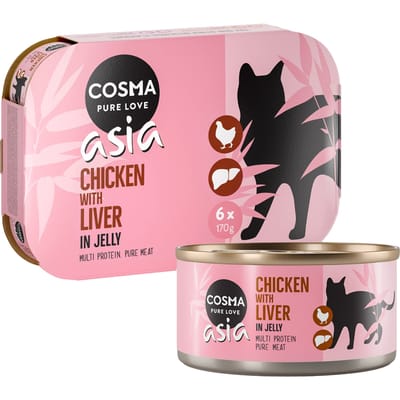 24x170g Cosma Asia in Jelly Kattenvoer - Diverse Smaken
