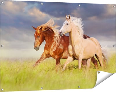 Gards Tuinposter Bruin en Wit Paard in de Wei - 120x80 cm - Tuindoek - Tuindecoratie - Wanddecoratie buiten - Tuinschilderij
