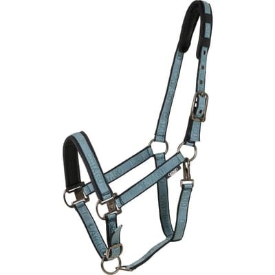 Pony halster Catago Name