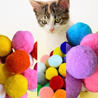 Daity Verpakking van 24 zachte pompons van topkwaliteit, perfect voor kittens - lichtgewicht, interactief en verkrijgbaar in verschillende kleuren - pluche speelgoed voor kittentraining en -spel (meerdere kleuren)