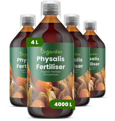 Vloeibare Meststof Voor Physalis 4X1 L Voor 4000 L - Npk 2-1-8 - Gelijkmatige Groei - Compacte Plantstructuur - Betrouwbare Vruchtzetting - Vruchtstevigheid - Sterk Wortelstelsel - Hittebestendig - Continue Vruchtproductie - Organifer