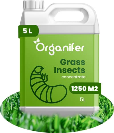 Grass Insects Concentraat (5L, 1250m2) - Engerlingen - Larven van Rouwvliegjes - Bodeminsecten - Emelten - Organifer