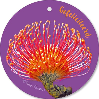 Tallies Cards - kadokaartjes  - bloemenkaartjes - Gefeliciteerd - Flowerpower - set van 5 kaarten - verjaardagskaart - verjaardag - felicitatie - proficiat - 100% Duurzaam
