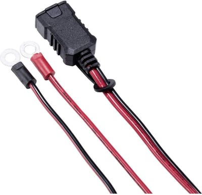 Druppellader - Acculader - Accu Onderhoud - Regeneratiemodus - 6V 12V - Zwart