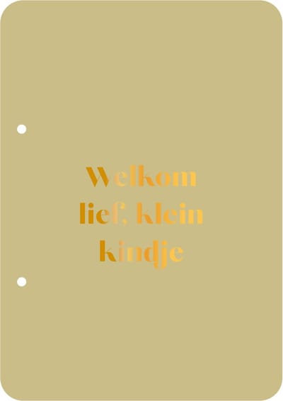 Bewaarbundel Welkom lief klein kindje - groen - geboortekaarten bewaarbundel - met goudfolie - A5 formaat