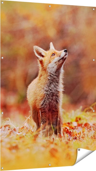 Gards Tuinposter Vos in het Bos tussen de Bladeren - 100x150 cm - Tuindoek - Tuindecoratie - Wanddecoratie buiten - Tuinschilderij