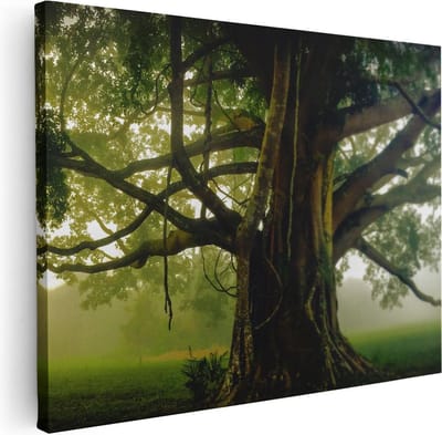 Artaza Canvas Schilderij Boom - 40x30 cm - Klein - Wanddecoratie Levensboom - Muurdecoratie Landschap - Kamer Accessoires Mist