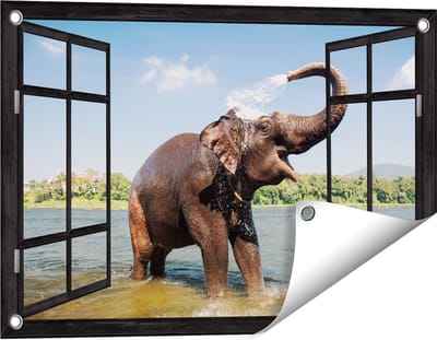 Gards Tuinposter Doorkijk Vrolijke Olifant in het Water - 60x40 cm - Tuindoek - Tuindecoratie - Wanddecoratie buiten - Tuinschilderij