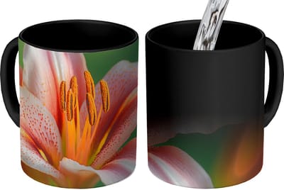 Magische Mok - Foto op Warmte Mokken - Koffiemok - Lelie - Close up - Lichtroze - Magic Mok - Beker - 350 ML - Theemok