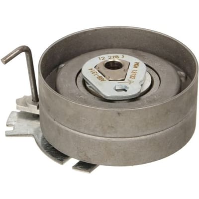 Tandriempoelie SKF VKM 13132