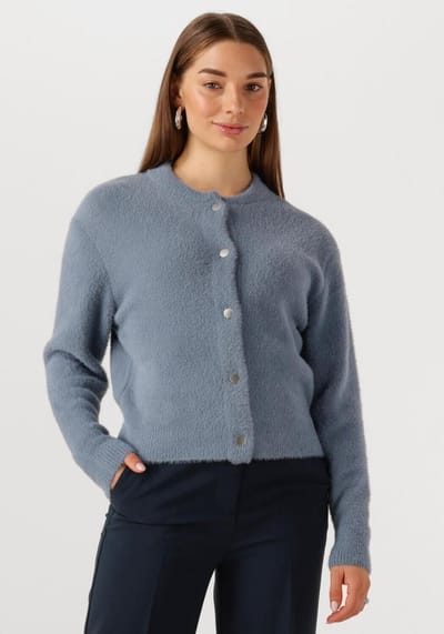 Jansen Amsterdam Cloe Vest P 205 Pressbuttons Truien & vesten Dames - Sweater - Hoodie - Vest- Lichtblauw - Maat XXL