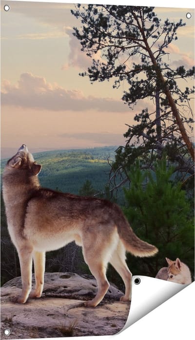 Gards Tuinposter Drie Wolven op een Rots in het Bos - 60x90 cm - Tuindoek - Tuindecoratie - Wanddecoratie buiten - Tuinschilderij