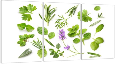 TMK ArtDeko Serie - Glasplaatbescherming - 3x30x52 cm - Veilig en Praktisch