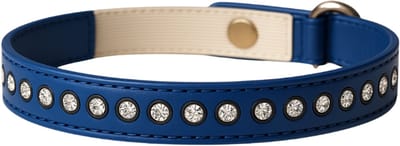 Animalking Kattenhalsband - Kattenbandje met Belletje - Halsband Kat - Cat Collar - Blauw met Diamanten
