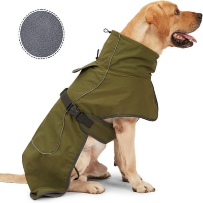 Hondenregenjas - Waterdichte winterjassen voor honden, winddichte jas met fluwelen binnenkant, winterregenjas voor honden met reflecterende strip, groen XS