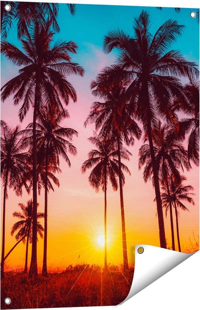 Gards Tuinposter Palmbomen op het Strand bij Zonsondergang - 60x80 cm - Tuindoek - Tuindecoratie - Wanddecoratie buiten - Tuinschilderij