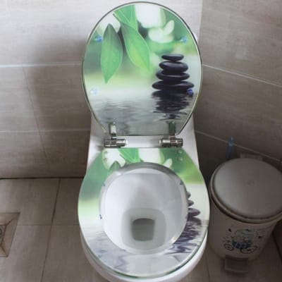 Toiletbril Deksel - WC Bril Hoes - Badkamer Renovatie - Langzaam Sluitend Mechanisme - Universele Pasvorm - Veelkleurig