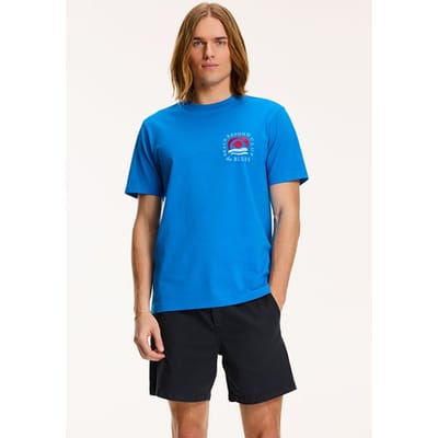 Shiwi Men Beyond The Blues T-shirt Skydive Blue Size: S | Printed T-Shirts Outlet | Heren | Blauw