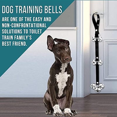 Bluetree 2 sets deurbellen voor honden, premium kwaliteit, bellen voor gemakkelijke zindelijkheidstraining van je puppy, 7 extra grote luide 1.4 deurbellen