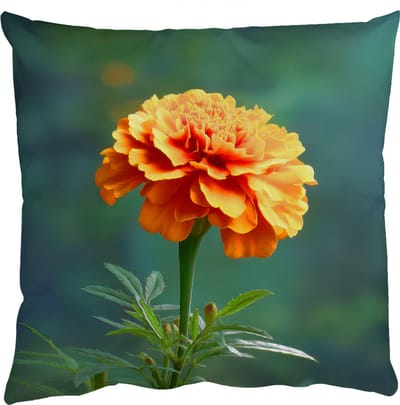 Sierkussens - Kussentjes Woonkamer - 50x50 cm - Bloemblaadjes - Afrikaan - Oranje - Wazig