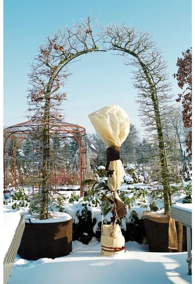 Videx Vliesdoek 1,5 x 5 meter - Plantenbeschermhoes - 2 stuks - 34 gram - Beige