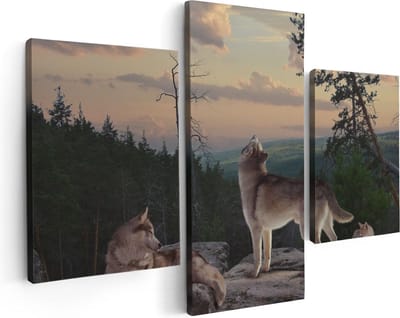 Artaza Canvas Schilderij Drieluik Drie Wolven Op Een Rots In Het Bos - 90x60 - Foto Op Canvas - Canvas Print