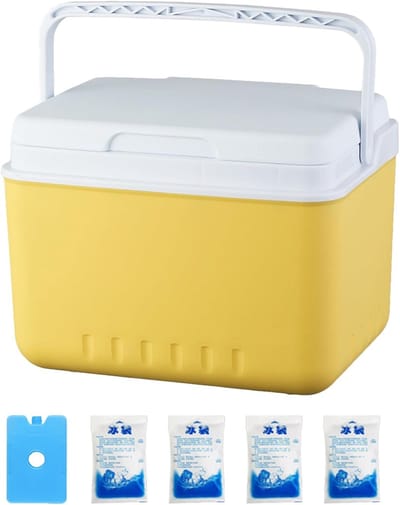 Koelbox 6 Liter - Geïsoleerde Box - Buitenactiviteiten - Lekvrij Ontwerp - 6L Capaciteit - Meerkleurig