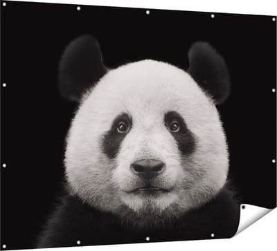 Gards Tuinposter Panda - Pandakop - 160x120 cm - Tuindoek - Tuindecoratie - Wanddecoratie buiten - Tuinschilderij