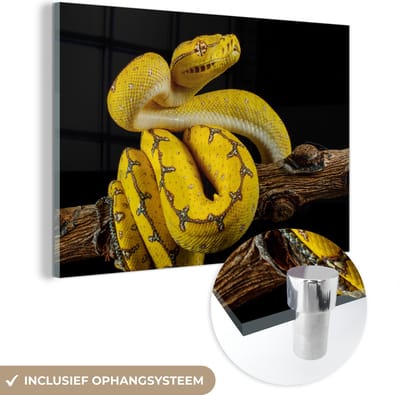 MuchoWow® Glasschilderij 120x80 cm - Schilderij acrylglas - Slang - Tak - Geel - Foto op glas - Schilderijen
