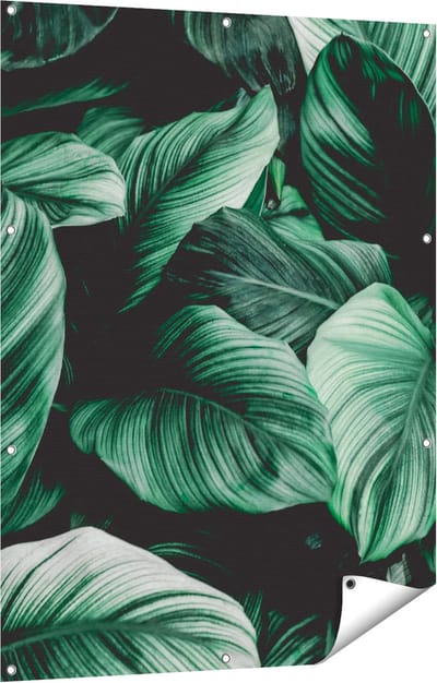 Gards Tuinposter Tropische Groene Bladeren - 90x120 cm - Tuindoek - Tuindecoratie - Wanddecoratie buiten - Tuinschilderij
