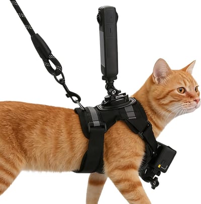 Harnas voor katten - Camera vest - Avontuur vastleggen - Met camerahouder - 1.5-6 kg - Zwart