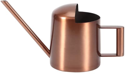 Dailygoods- Bonsai-Gieter 300 ml - Roestvrij Staal - Lange Schenktuit - Voor Binnen/Buiten - Eenvoudig Vast Te Pakken - Glanzend en Corrosiebestendig - Plantenbewateringscan