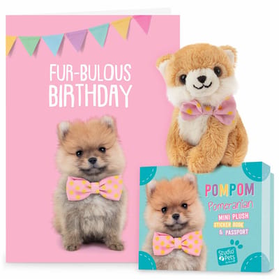 Studio Pets® set mini knuffel Maltezer Flora 8 cm met verjaardagskaart – hond knuffel cadeau voor kinderen
