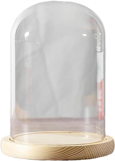 Glazen Stolp - Display Koepel - Decoratie Presenteren - Massief Houten Voet - Diameter 12cm - Transparant