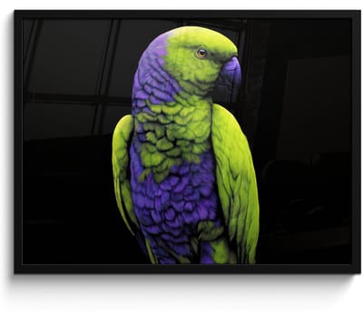 Poster in lijst - Fotolijst 80x60 cm - Posters - Papegaai - Veren - Opvallend - Groen - Posterlijst zwart - Decoratie - Wanddecoratie woonkamer - Muurdecoratie slaapkamer