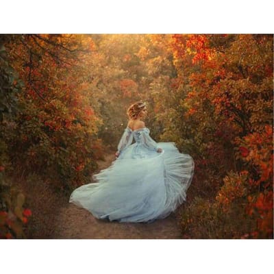 Diy diamant schilderen kruissteek bos prinses foto diamant borduurwerk mozaïek cadeau woondecoratie 20X30CM brown