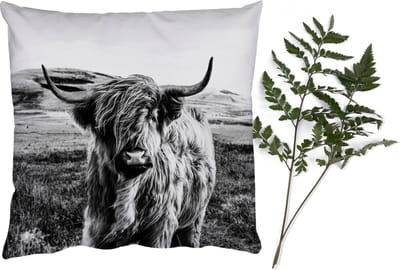 Sierkussens - Kussentjes Woonkamer - 40x40 cm - Zwart - Wit - Schotse Hooglander - Gras