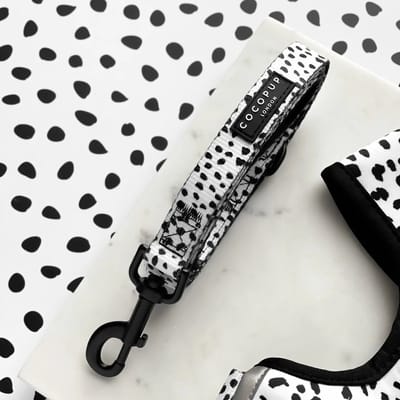 Cocopup London - Spot On - Riem - Hondenriem - Hond - Wandelaccessoires