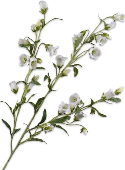 Silk-ka Kunstbloem-Zijden Bloemen Campanula Tak Wit 112 cm