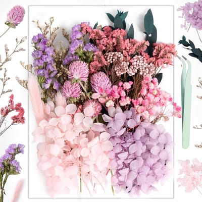 Set Gedroogde Persbloemen voor Kaarsen, Zeep, Hars, Scrapbooking en Kaarten - Knutselmateriaal