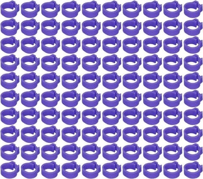 8 mm Duif Beenringen - Plastic Identificatiebanden voor Pluimveemarkering, Herbruikbaar Ontwerp voor Eenvoudige Installatie en Leeftijdsregistratie van Doves (Paars)