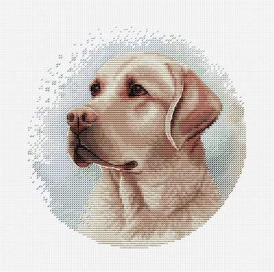 Luca-S The Dalmatian borduren (pakket) BC208
