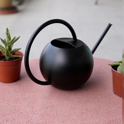 Gieter voor kamerplanten, 1000 ml/33 oz Huishoudelijk roestvrij staal Lange tuit Gieter Tuin Gieter voor bonsai Tuin Bloemen Planten Tool