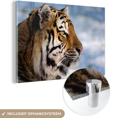 MuchoWow® Glasschilderij 60x40 cm - Schilderij acrylglas - Tijger - Sneeuw - Natuur - Foto op glas - Schilderijen
