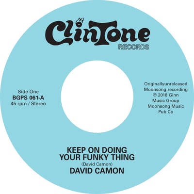 Keep On Doing Your Funky Thing / Ain't It Funky (Doing Your Own Thing) - David Camon