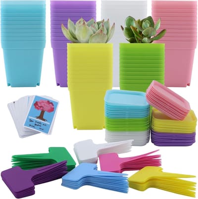 Dailygoods- Kweekpotten 66 Stuks - Plantenpotten Kunststof - Mini-Potten voor Zaden - Kweekpotten 7 cm - Kleurige Set met Onderzetters - Inclusief Plantenetiketten