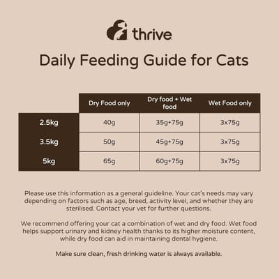 Thrive natvoeding voor de kat Rund met groente 75 gr. - per 12 stuks