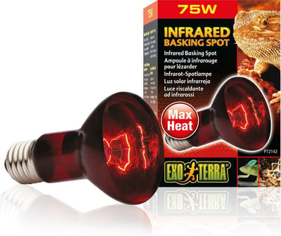 Exo Terra - Warmtelamp - Reptielen - Ex Infrarood Warmtespot R20 75w - 6,5x6,5x10cm - 1st