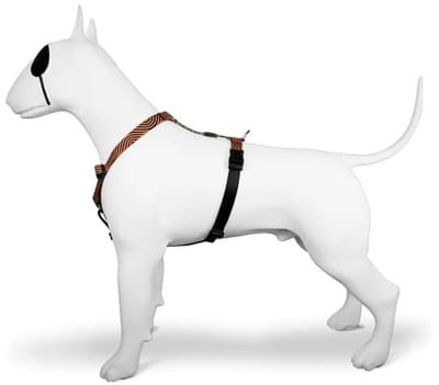 H-harnas met 5 punten, verstelbaar voor grote honden - Oranje en Zwart - Maat XL